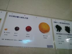 -南京市妇幼保健院(莫愁路院区)