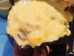 -千岛蚝高压锅生蚝·人参火锅(白云万达店)