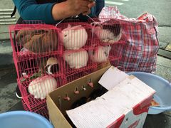 -全家便利店(年家浜路店)