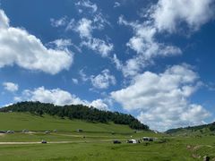 -关山草原
