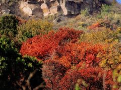 -北京西山国家森林公园