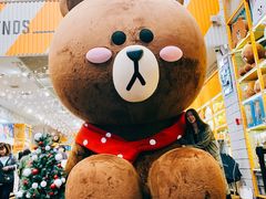 -line friends(明洞旗舰店)
