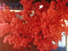 -探花·意境江南菜·唐伯虎文化体验店·松鼠桂鱼(观前店)