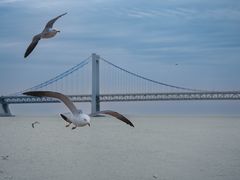 -星海广场