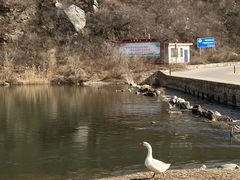-白河湾生态旅游一条川