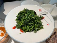清香枸杞苗-国强手抓(北京西路店)