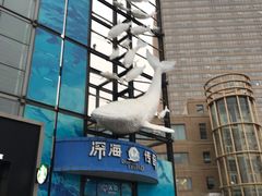 -大连圣亚海洋世界