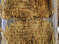 -清真·馬坡二旦烧烤(人生一串拍摄店)