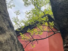 -乌山风景区