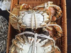 -乡乐园蟹庄·阳澄湖农家乐