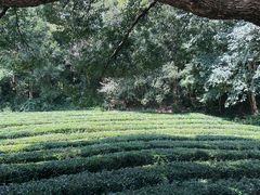 -敬亭山风景名胜区