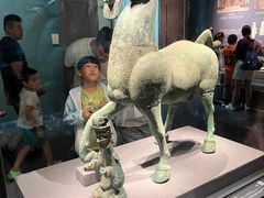 -广西壮族自治区博物馆