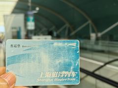 -龙阳路磁悬浮列车总站-停车场