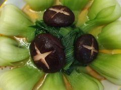 -爱月宝月嫂育儿嫂(太原店)