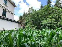 -腾冲云峰山