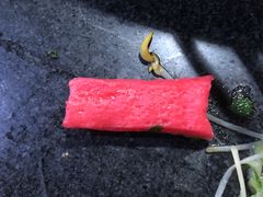 -星鸿社重庆老火锅