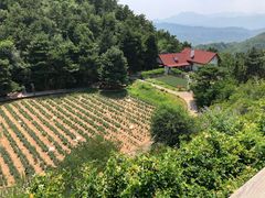 -云峰山自然风景区