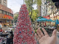 -秘密旅行Bonjour(黑金冠 江南西店)
