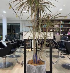 -新晨·SALON·形象造型