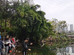 -重庆彩云湖湿地公园