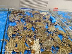 -北塘海鲜·天津菜(大光明桥旗舰店)