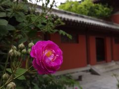 -开封府