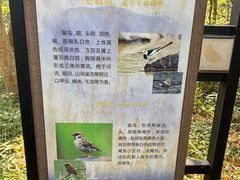 -杭州植物园