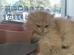 -听TA说宠咖·宠物生活馆(天韵水岸店)