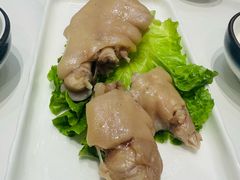 -丁老爷子苏香圆