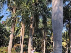 -中国科学院西双版纳热带植物园