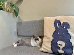 -小意思咖啡店(草桥店)