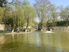 -西安市长乐公园