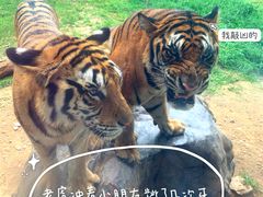 -济南野生动物世界