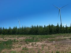 -塞罕坝国家级自然保护区