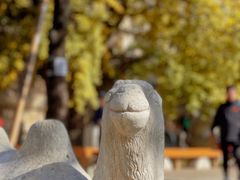 -北京石刻艺术博物馆(五塔寺)