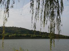 -羊山湖公园
