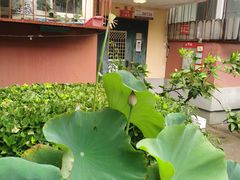 -北京市劳动人民文化宫(太庙)