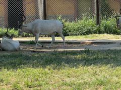 -石家庄市动物园