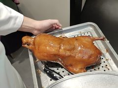 -紫光园·烤鸭·北京菜(团结湖店)