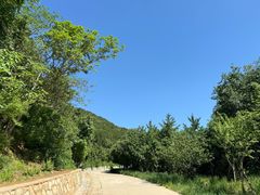 -北京西山国家森林公园