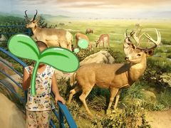 -陕西自然博物馆