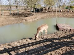 -泗洪洪泽湖湿地景区