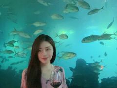 -海棠湾洲际-涛·海底餐厅·美人鱼·自助餐·海底隧道