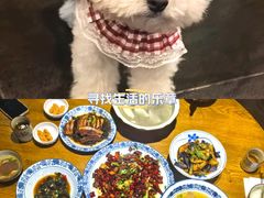 -百年老扣碗(沙坪坝店)