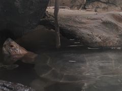 -成都动物园