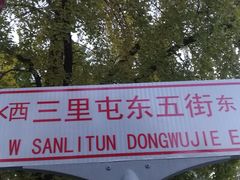 -三里屯东五街银杏大道