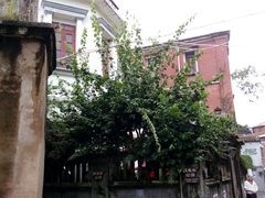 -鼓浪屿牌馅饼(博物馆店)