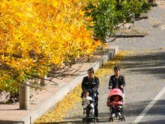 -大连市甘井子区体育场