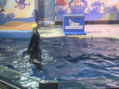 -太平洋海底世界