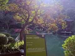 -云溪植物园